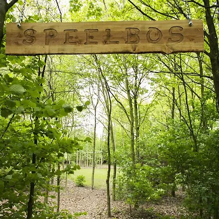 Pipowagen Camping Puur Genieten Someren