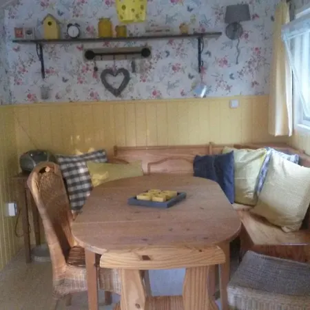 Pipowagen Camping Puur Genieten 3* Someren