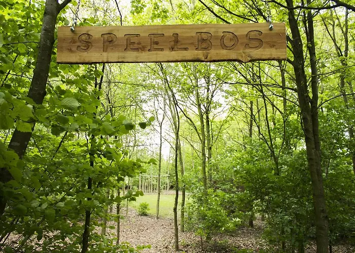 Pipowagen Camping Puur Genieten Someren